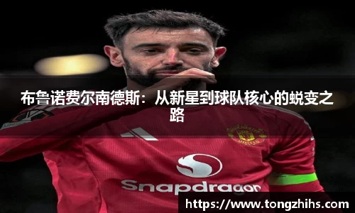 ac米兰体育平台